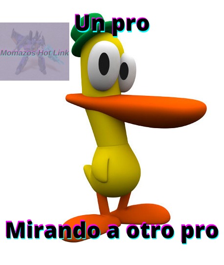 Pato - meme