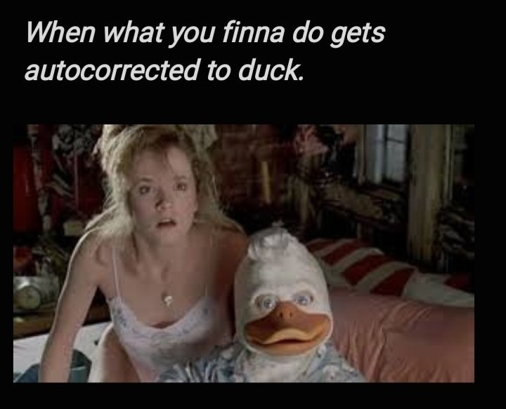 Let's duck - meme