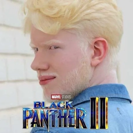if netflix released Black panther 2 meme