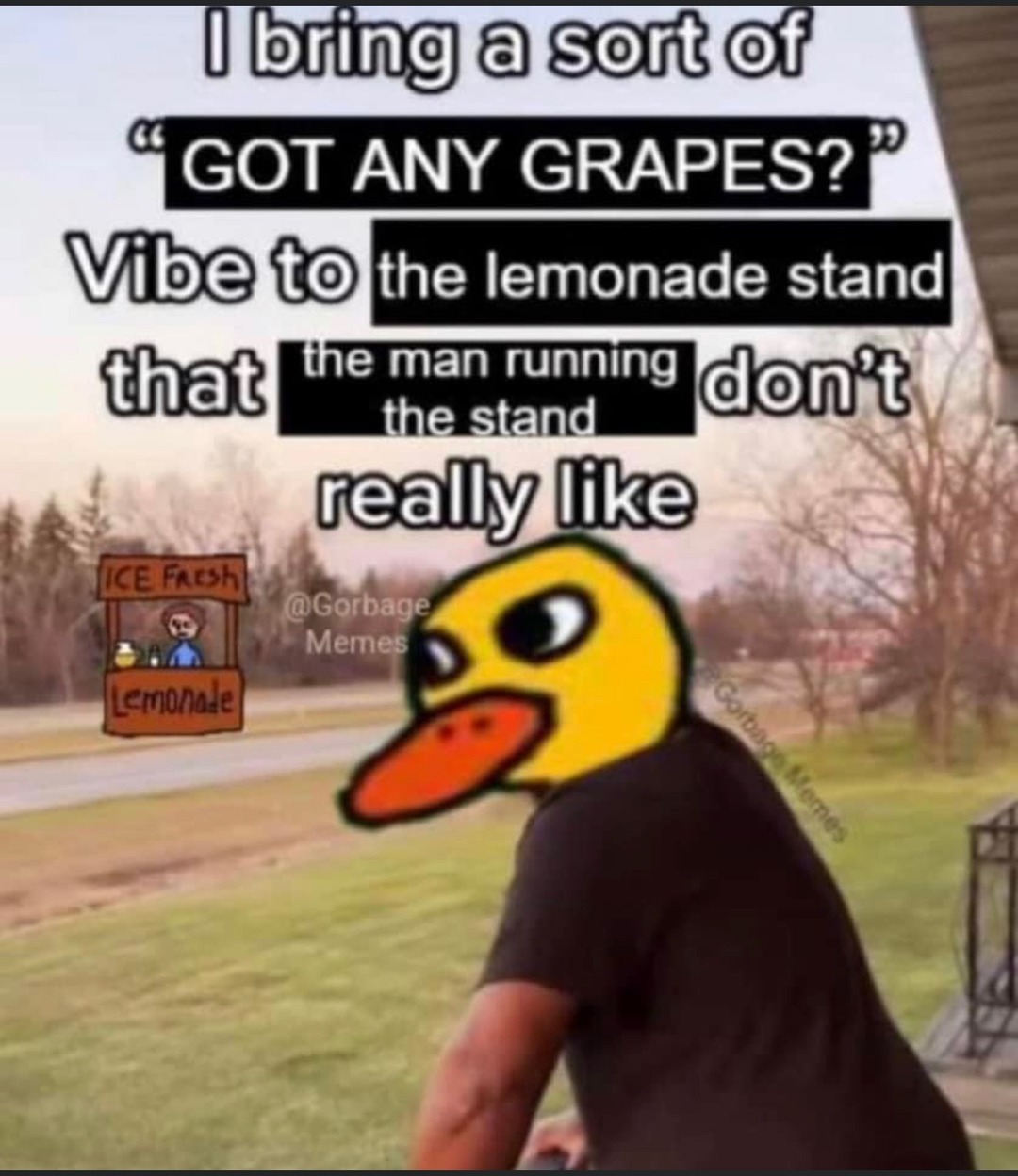 got any grapes? - meme