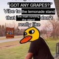 got any grapes?