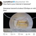 How fast is your internet in bananas?