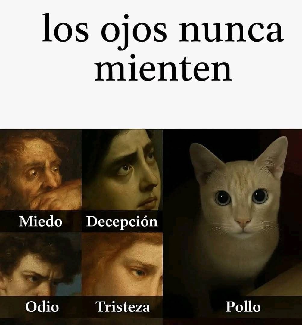 Los ojos nunca mienten... especialmente cuando hay pollo - meme