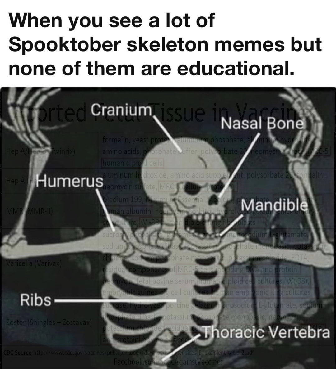 Educational spooky memes