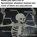 Educational spooky memes