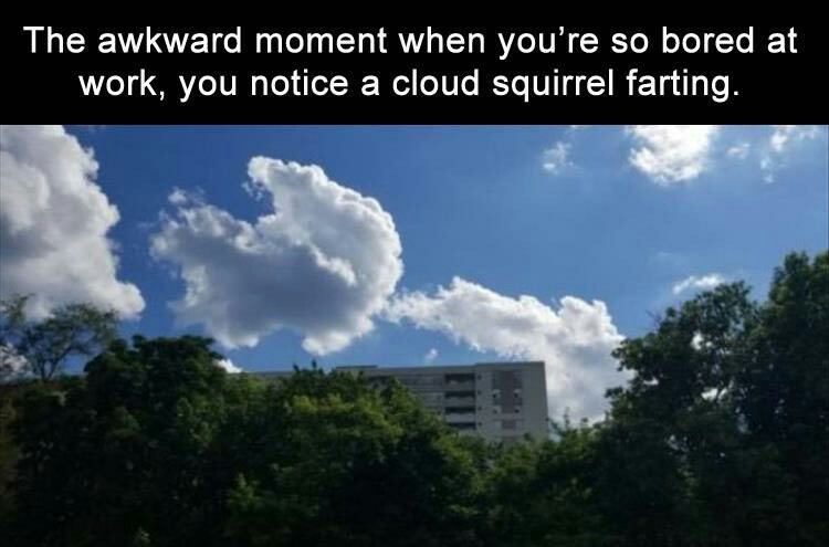 Look! It's Rocky the flatulating squirrel. - meme