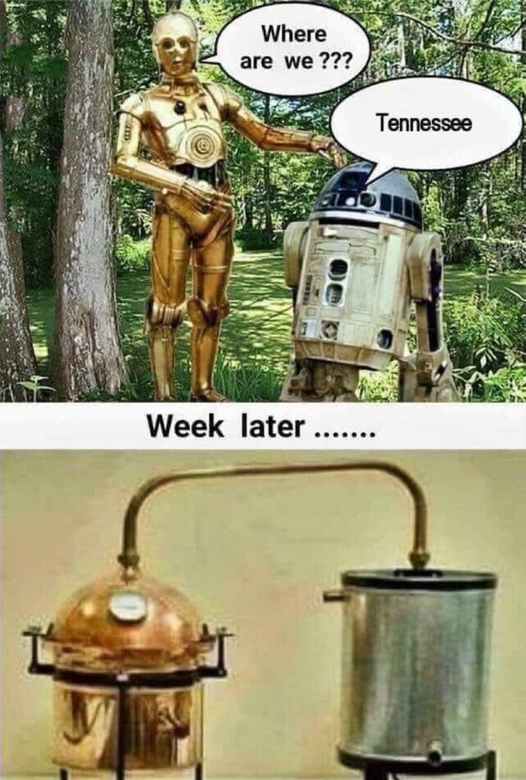 The moonshine is strong with this one. - meme