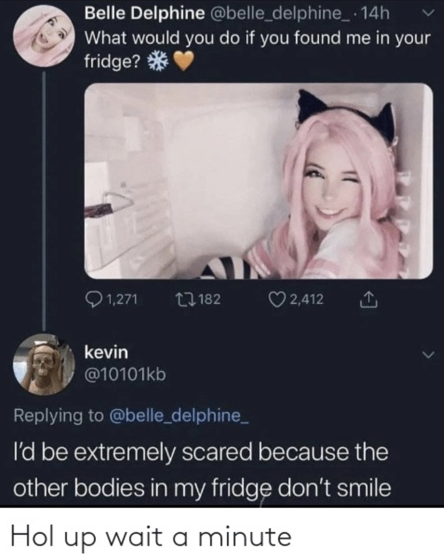 Belle Delphine Memes - Belle Delphine - Pin