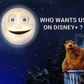 Bear & Luna in The Big Blue House_DisneyPlus