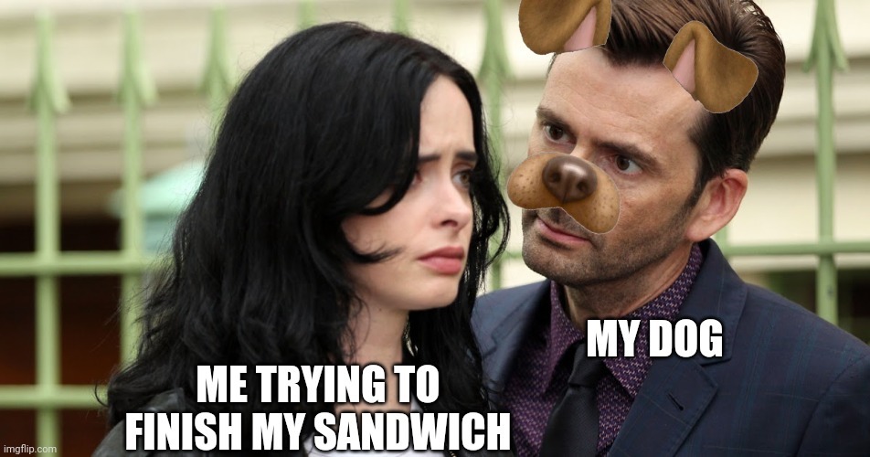 Hungry dog - meme
