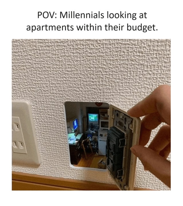 Millennials looking at apartments within their budget - meme