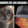Meme de los ganadores de los Oscars 2024
