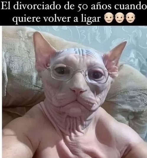 Divorciados de 50 años en facebook - meme