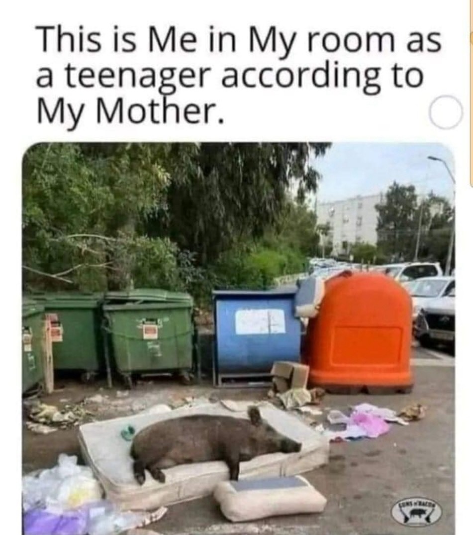 maybe - meme