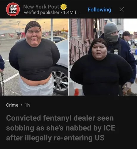 When the convicted fentanyl dealer is sobbing after being caught by ICE like, ‘Not again!’ - meme
