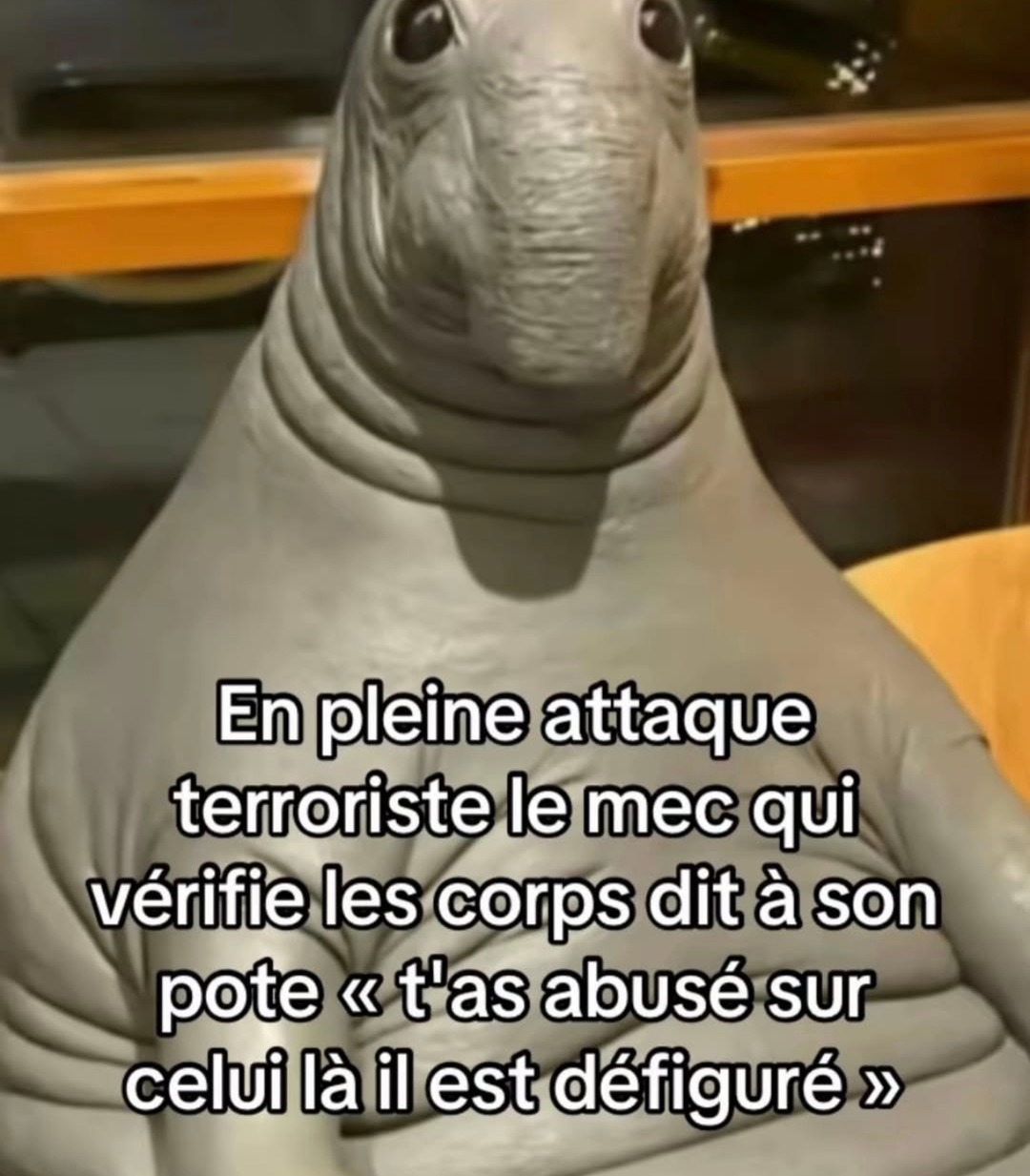 le mec en pleine attaque terroriste qui note les dégâts sur les corps - meme