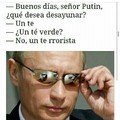 Ste Putin