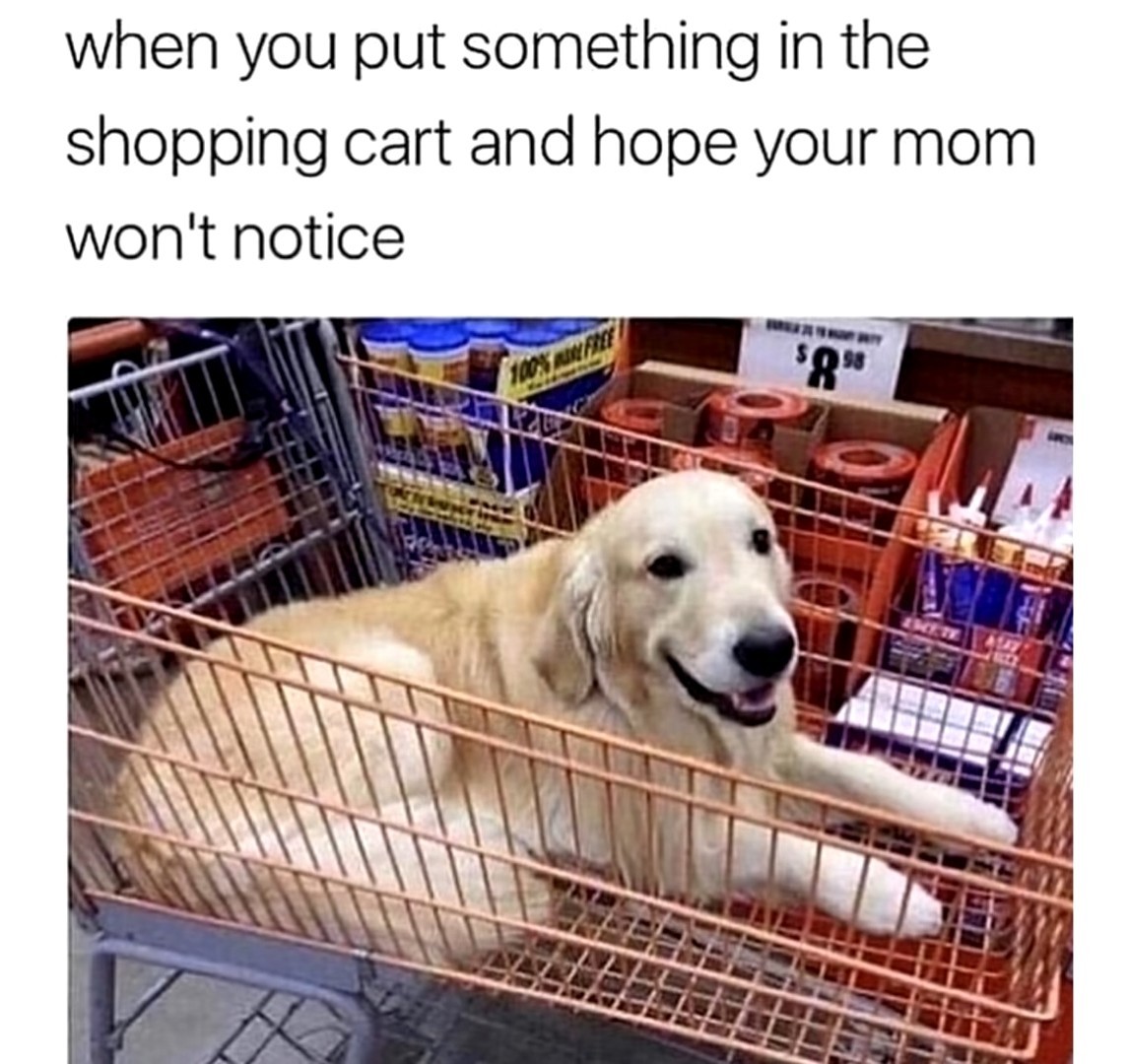 Mommy ok with good doggo - meme