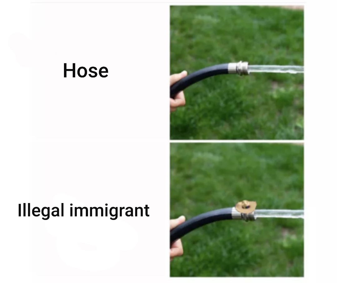 My dongs in your hose - meme
