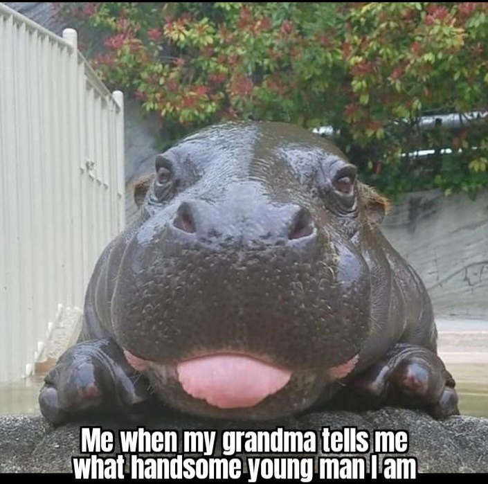 Thanks grandma - meme