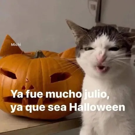 Que termine julio - meme