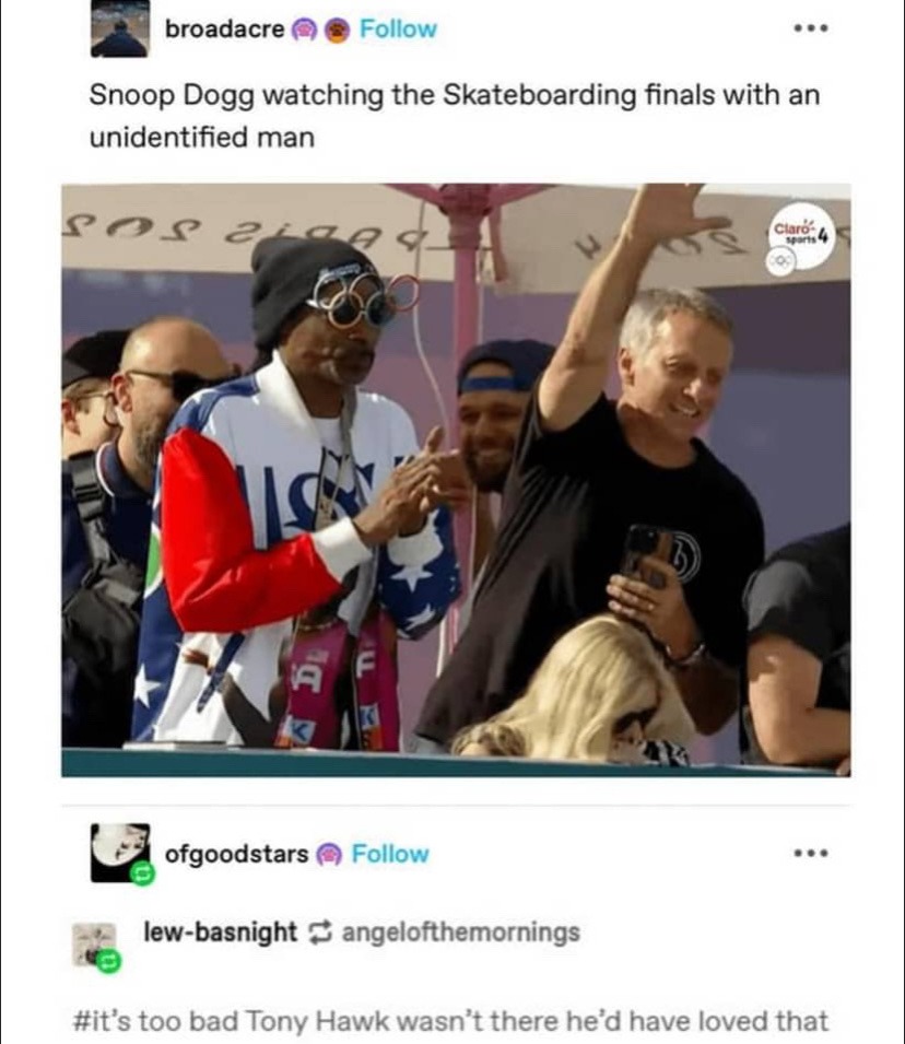 Tony hawk - meme