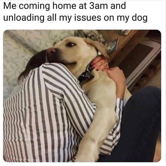 Me at 3AM trauma dumping on a dog who can’t leave - meme