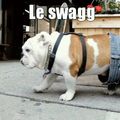 Le swagg