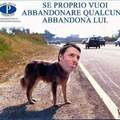 Renzi's dog