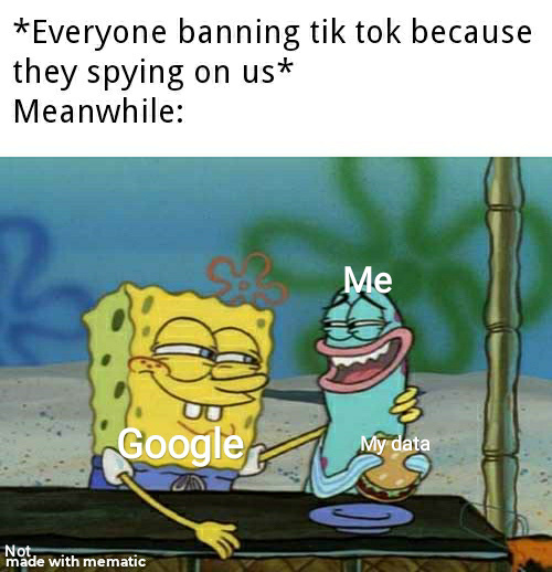Everyone banning Tik Tok because they are spying on us - meme