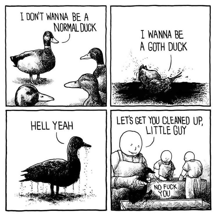 goth duck - meme