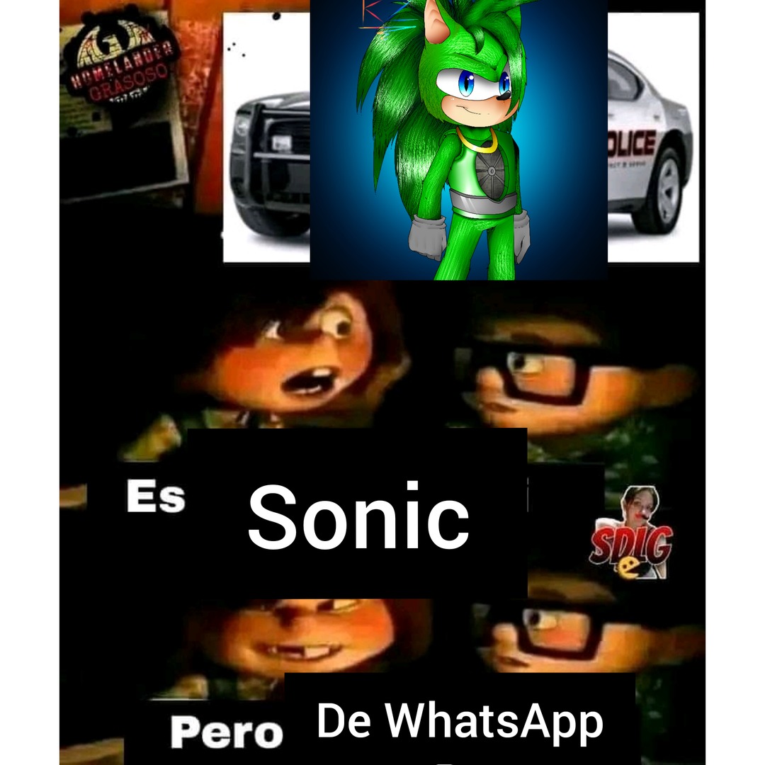 Es Sonic de WhatsApp - meme