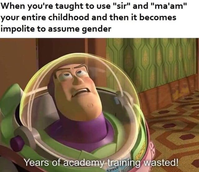 Years of academy wasted - meme