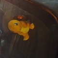 Charmander en el auto