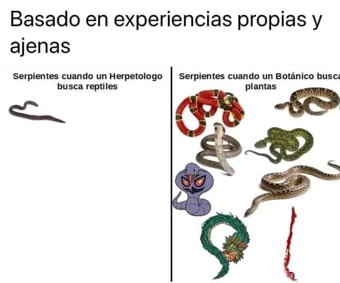 Meme bien específico de serpientes