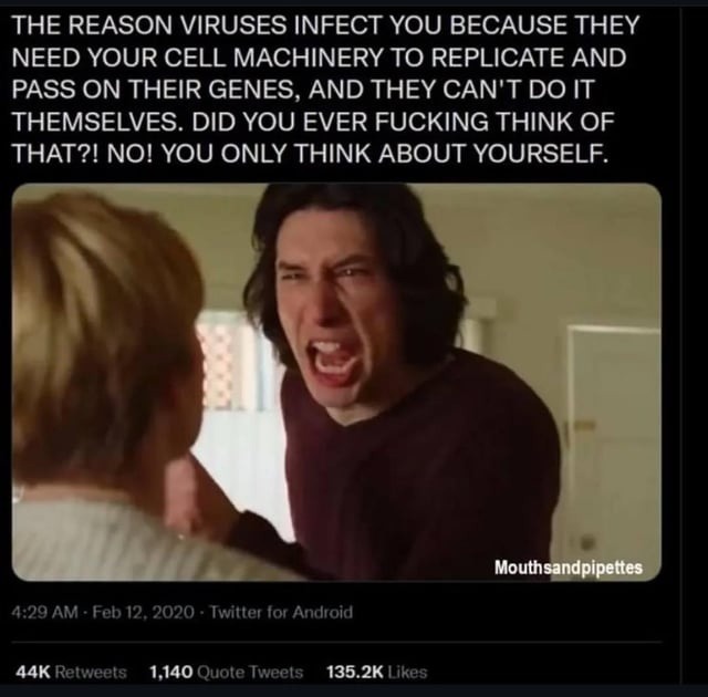 Viruses: maybe they just need a hug (and your cells) - meme