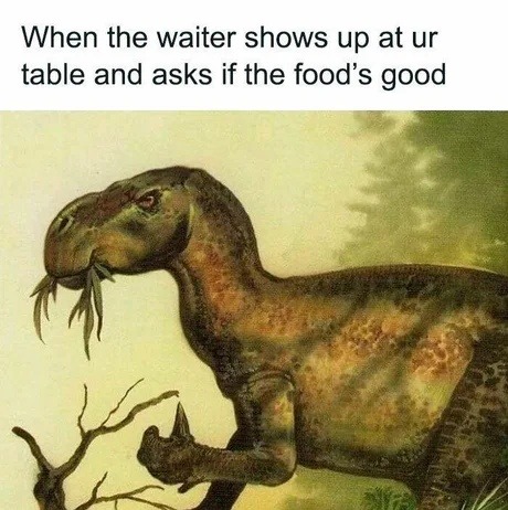 Waiter: how's the food? Me: *panic chewing noises* - meme