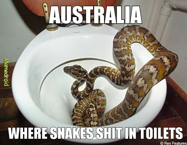 AUSTRALIA  MATE - meme