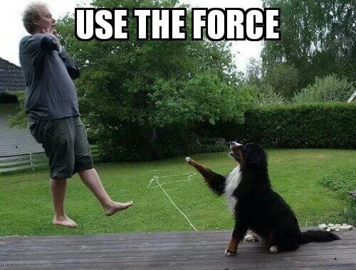 Use the Force - meme