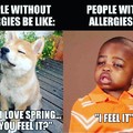 Experiencing allergies for the first time at 27 years old. Shit sucks