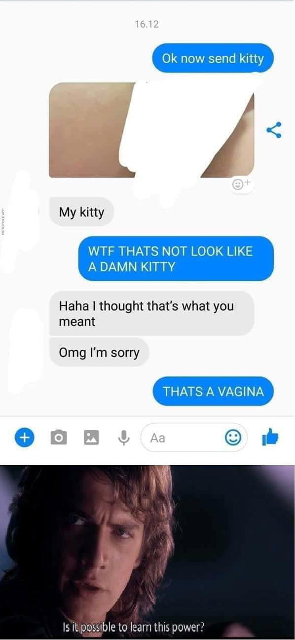 Send kitty - meme