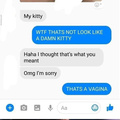 Send kitty