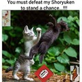 Street fighter cat shoryuken