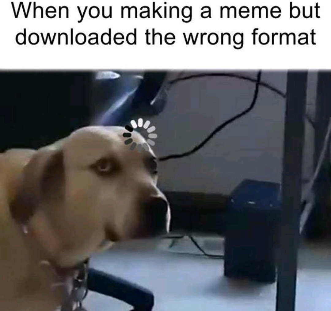 Making a meme but downloaded wrong format | gagbee.com