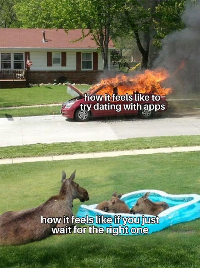 Guys... I'm dating a girl I met on Hinge, what do you think - meme