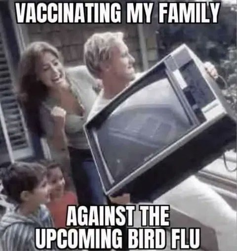 Pandemic - meme