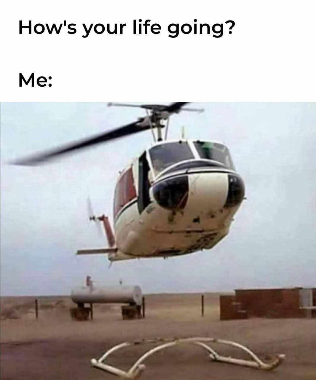 Pretty much - meme