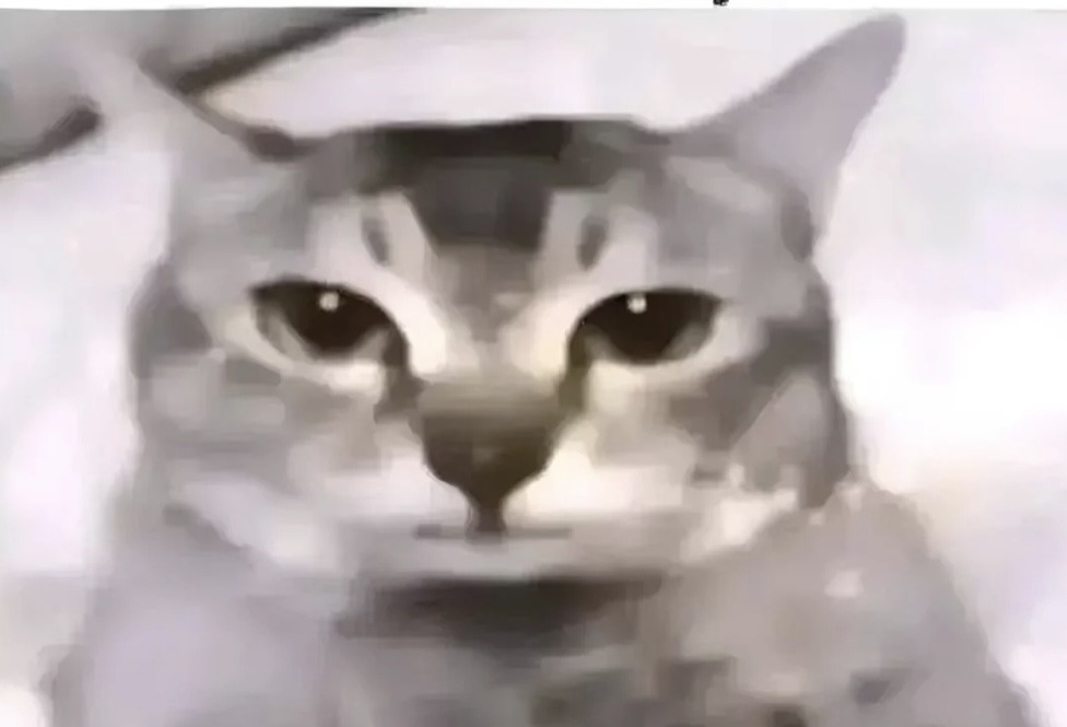 Yo viendo mis calificaciones - meme