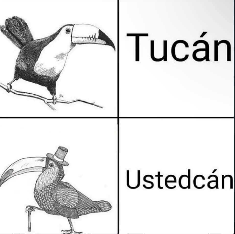 Tucán? Ustedcán crack - meme