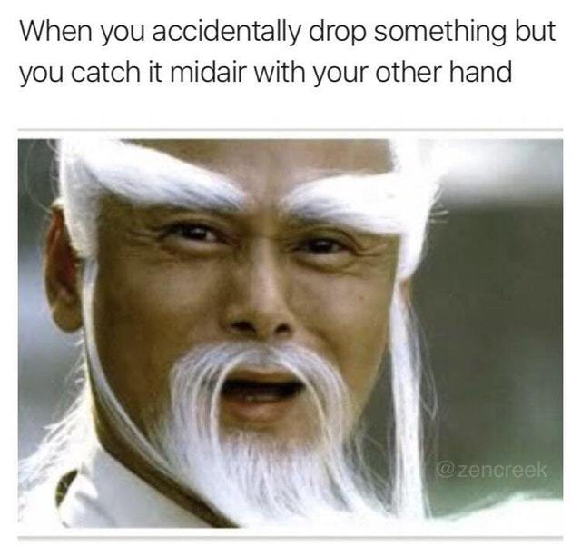 I'm a kung fu master now - meme